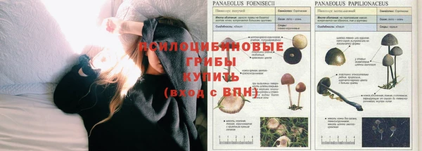 метамфетамин Остров