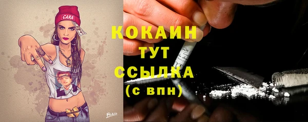 мдпв Осинники