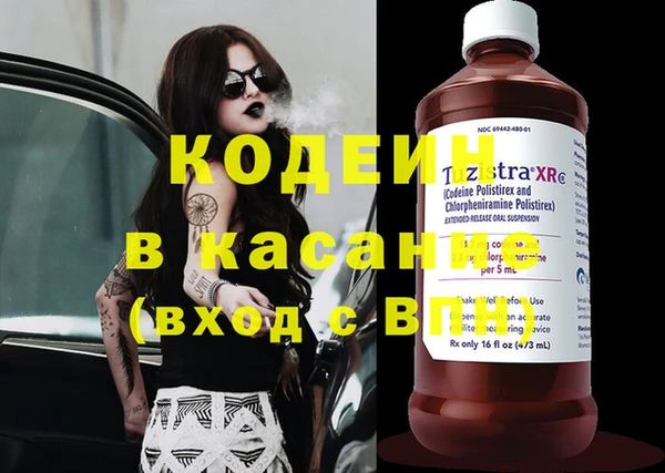 шишки Вязьма