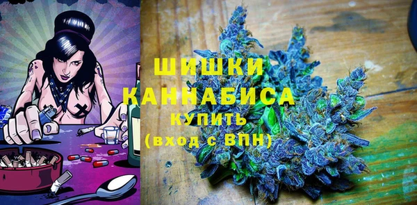 шишки Вязьма