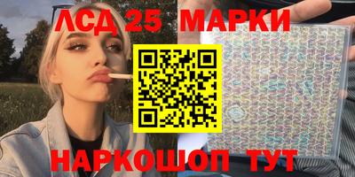 сатива Гай