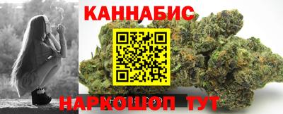 сатива Гай