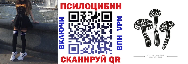 Галлюциногенные грибы Psilocybine cubensis купить сайты Новокузнецк