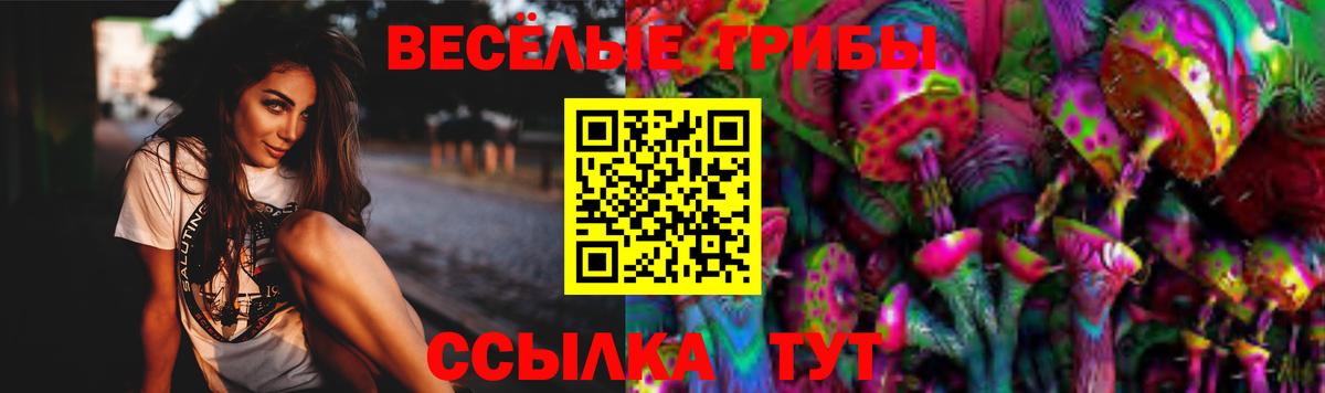 Псилоцибиновые грибы Psilocybine cubensis  Вход с VPN  Галлюциногенные грибы MAGIC MUSHROOMS  Новокузнецк 